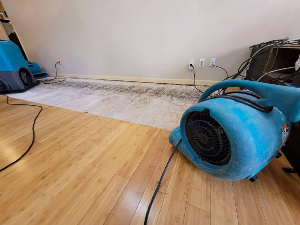 Professional Water Removal technician working in Kyle, SD
